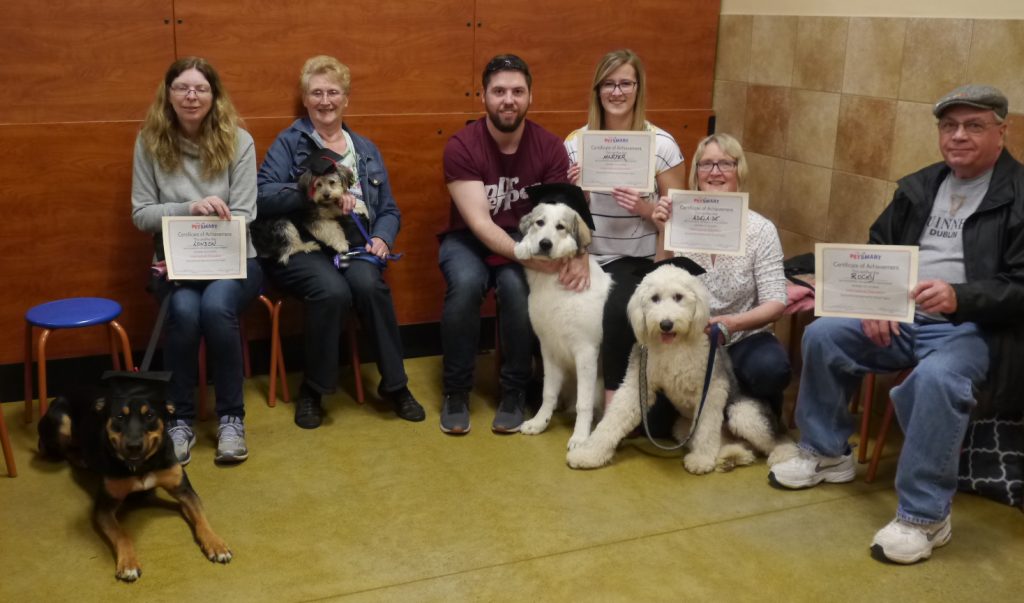 dog training intermediate class may 2019
