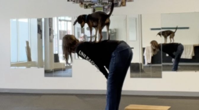 Trick Dog Training Advanced Showcase