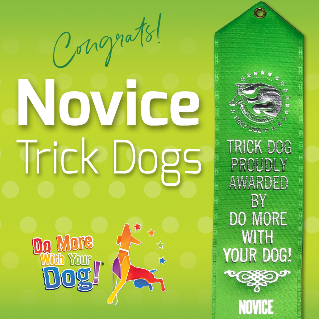 Novice Trick Dog Title